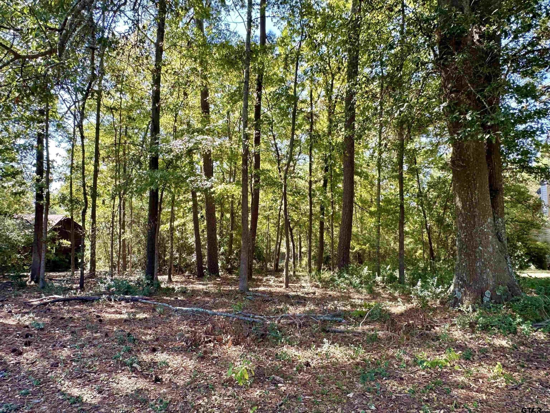 0.37 acres in Wood County - photo 3