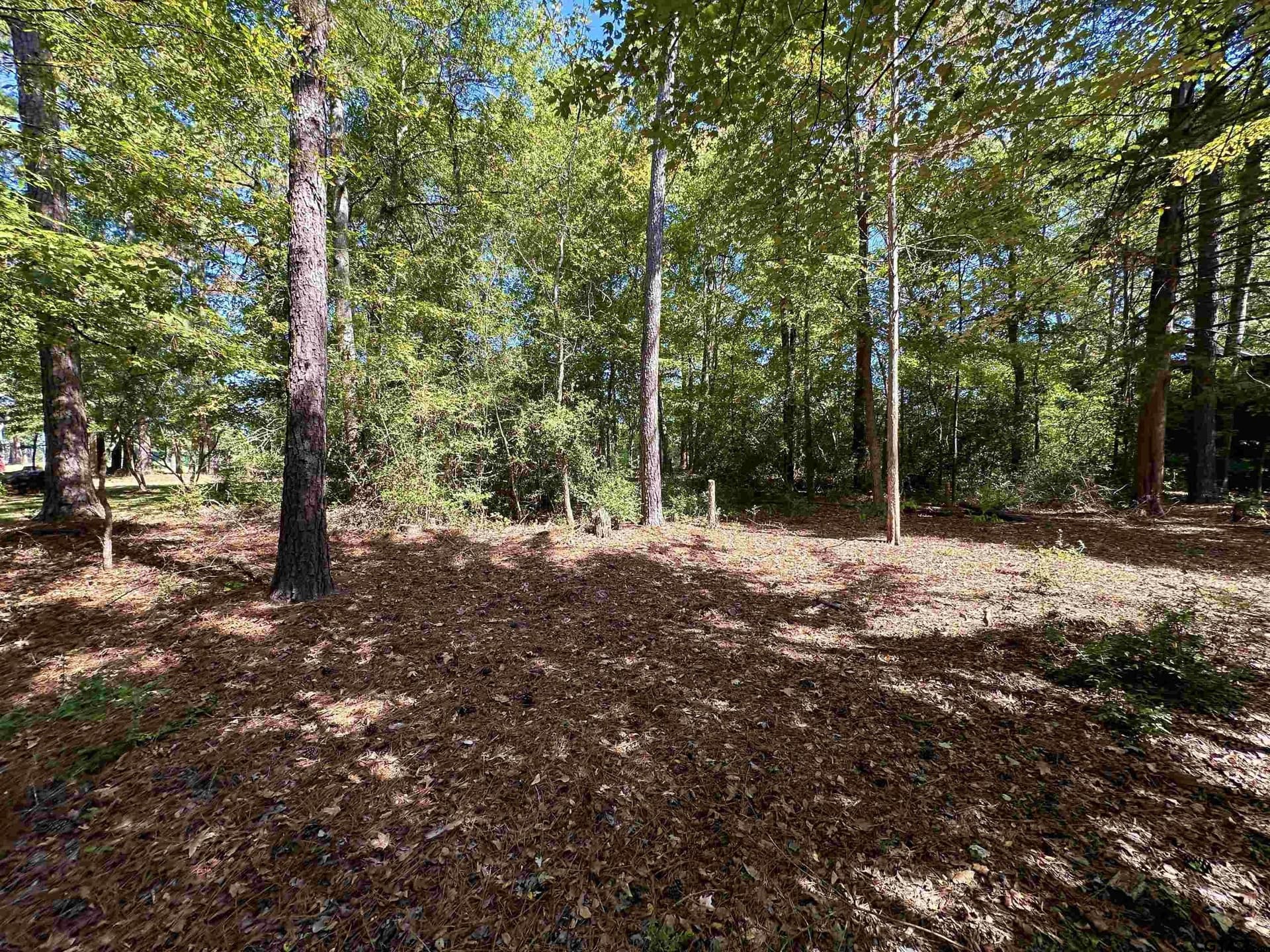 0.37 acres in Wood County - photo 9