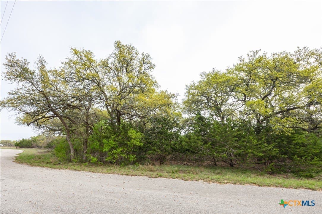 5.01 acres in Blanco County - photo 19
