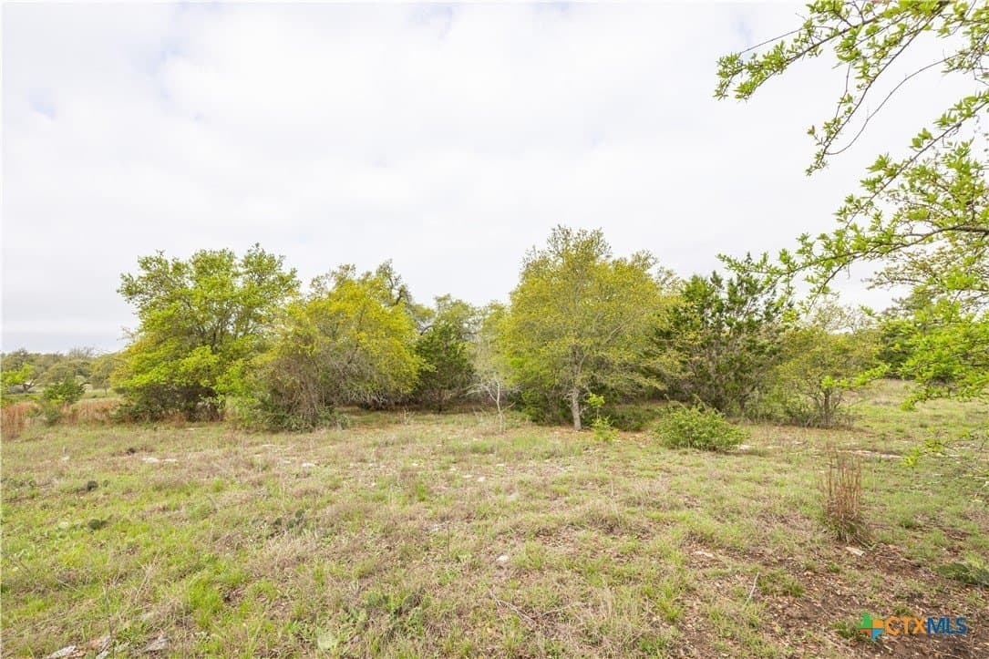 5.01 acres in Blanco County - photo 9