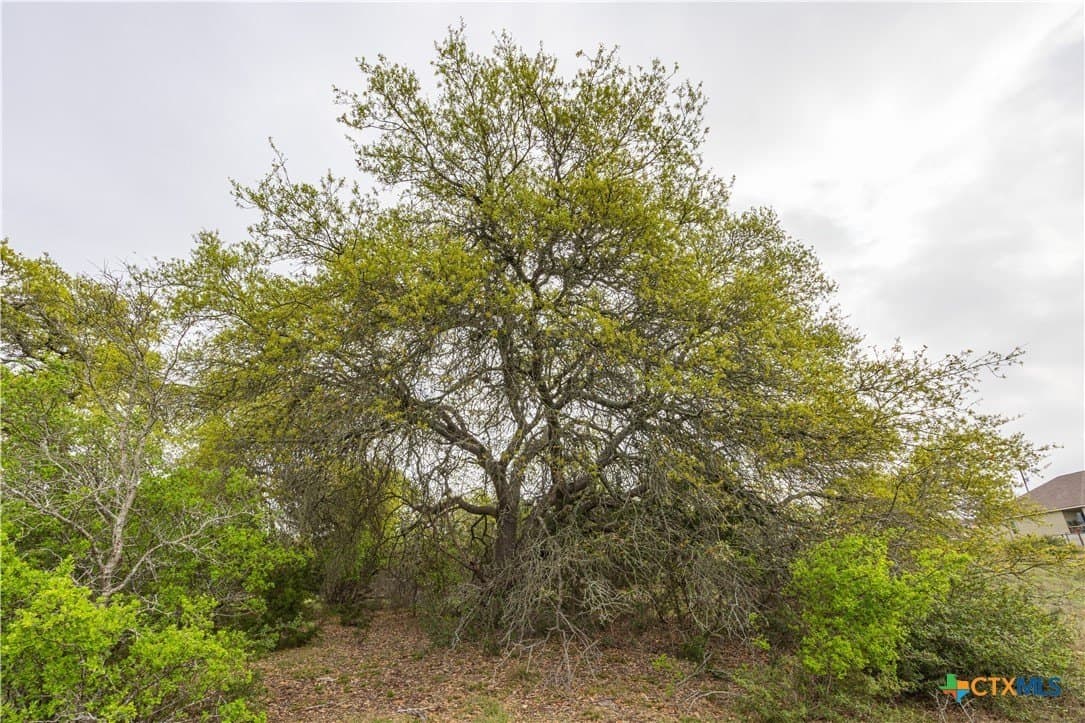 5.01 acres in Blanco County - photo 12