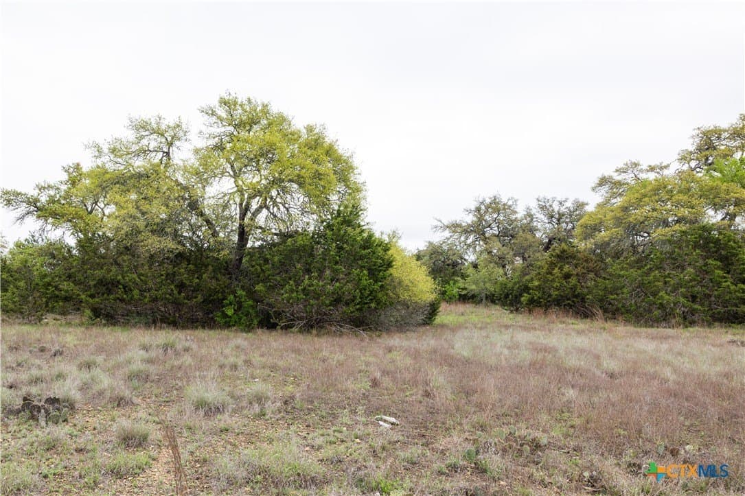 5.01 acres in Blanco County - photo 3