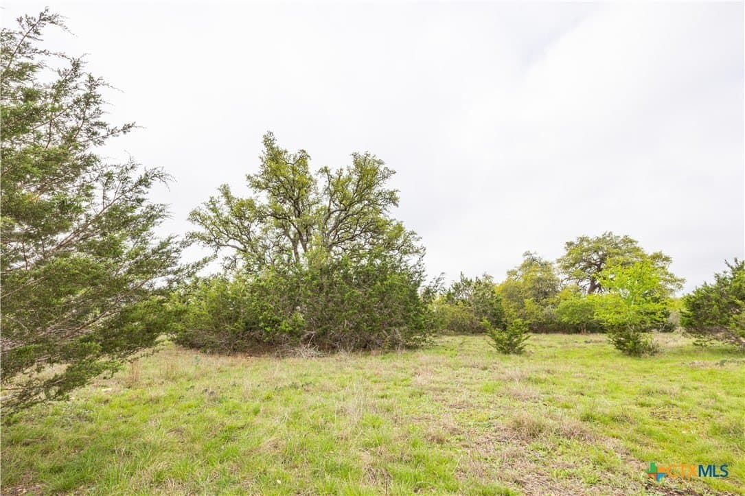 5.01 acres in Blanco County - photo 7