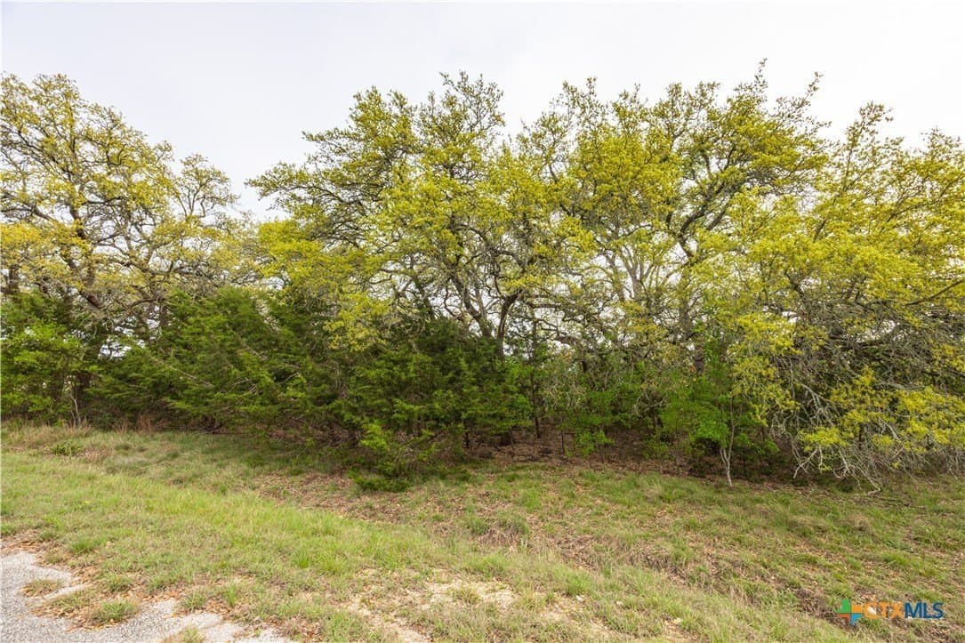 5.01 acres in Blanco County - photo 18