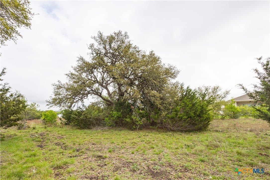 5.01 acres in Blanco County - photo 6