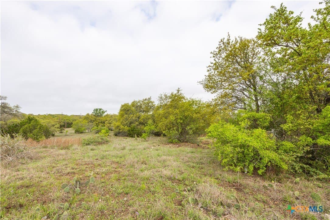 5.01 acres in Blanco County - photo 10