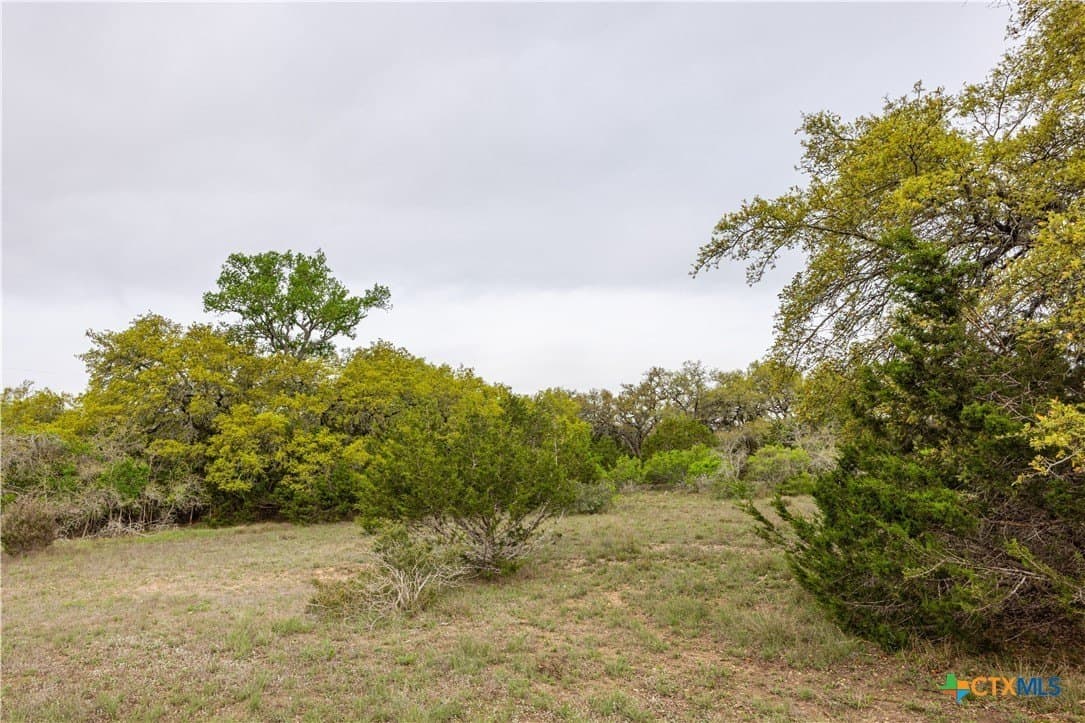 5.01 acres in Blanco County - photo 15