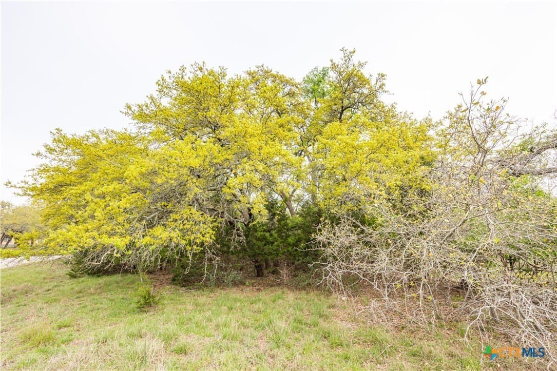 5.01 acres in Blanco County - photo 17