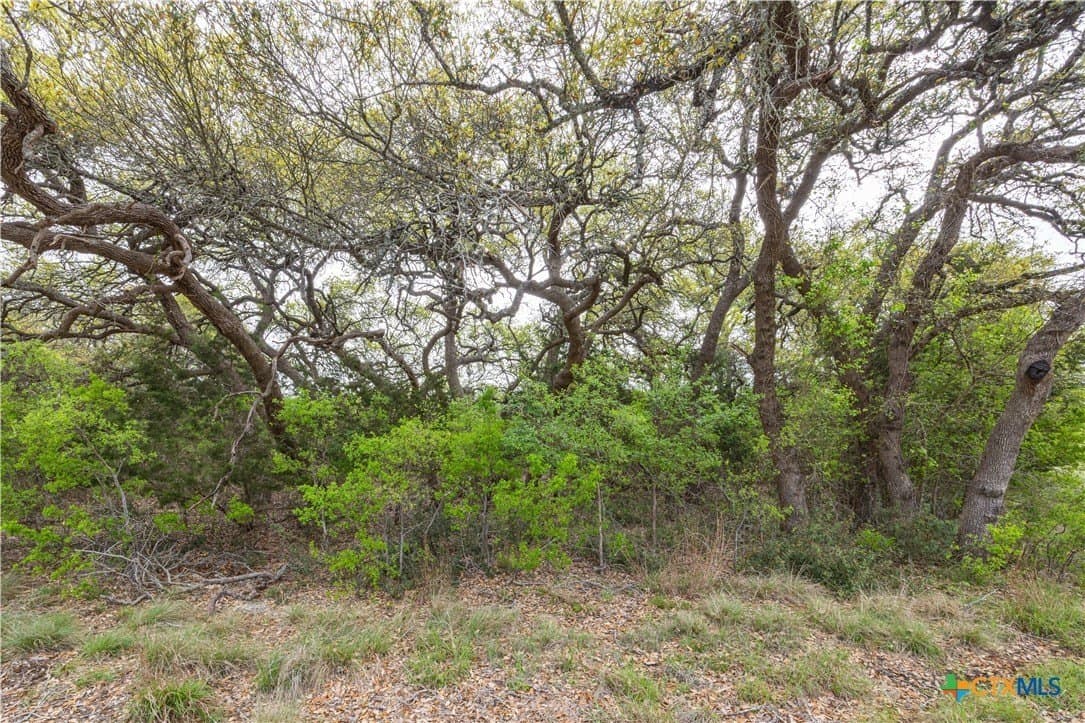 5.01 acres in Blanco County - photo 22