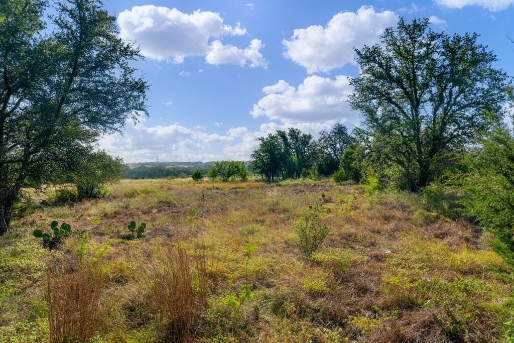 11 acres in Blanco County - photo 17