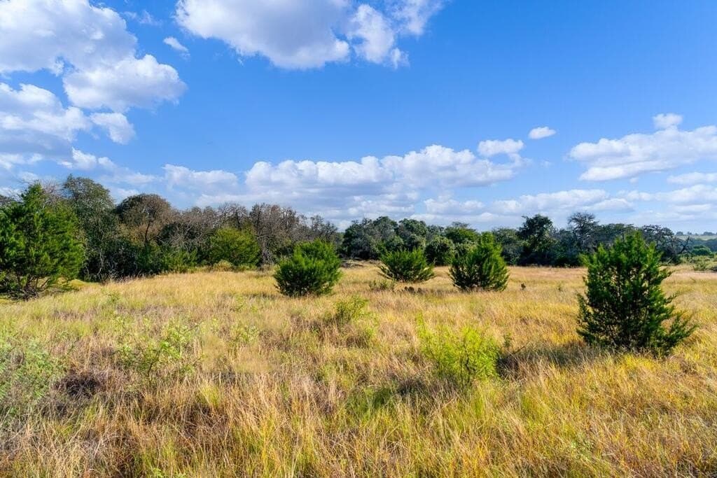 11 acres in Blanco County - photo 16