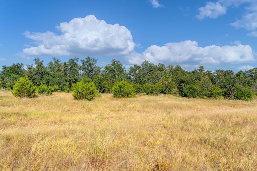 11 acres in Blanco County - photo 12
