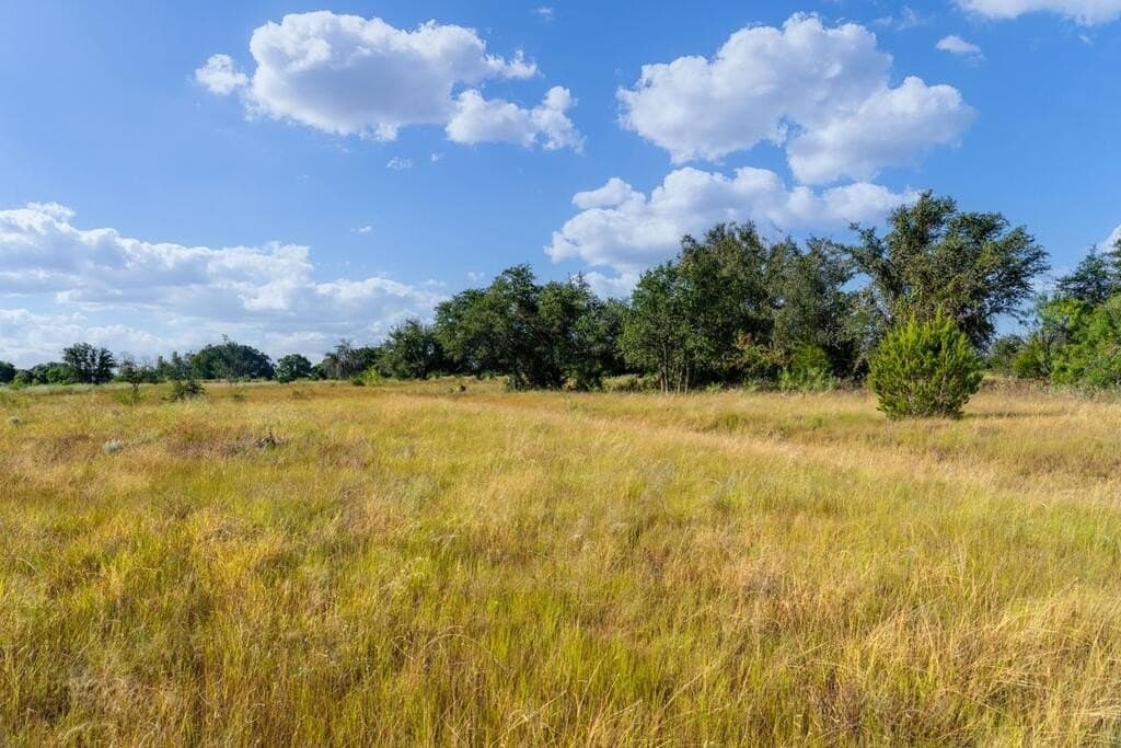 11 acres in Blanco County - photo 13