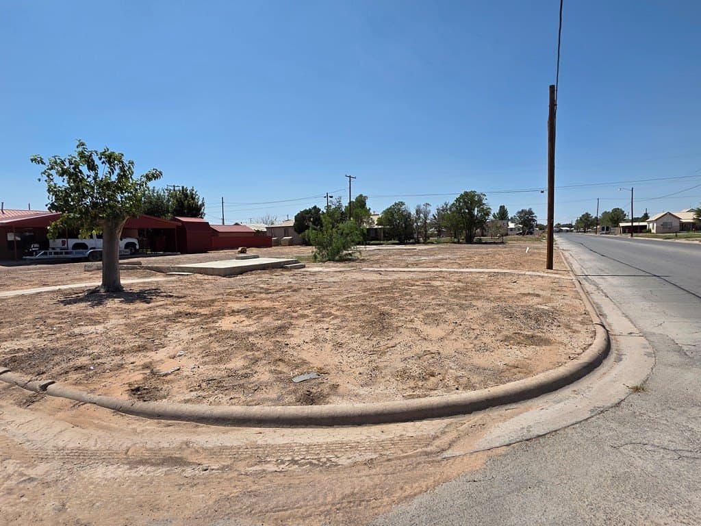 0.2 acres in Reeves County gallery image 2