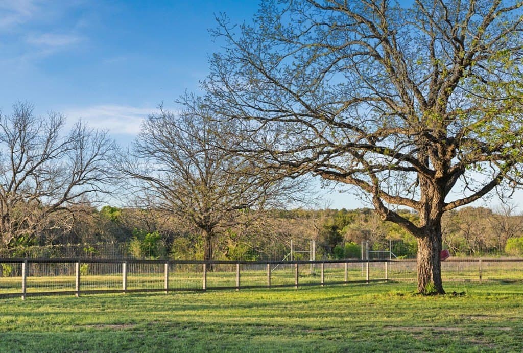 15.1 acres in Travis County - photo 18