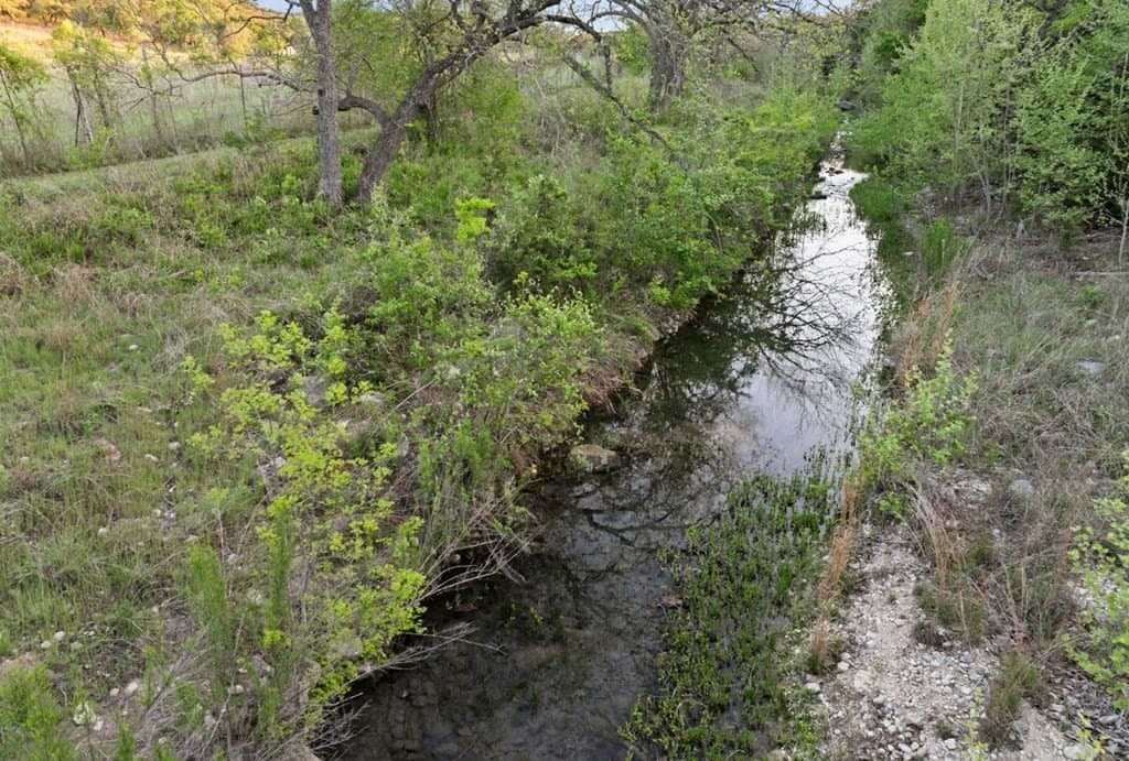 15.1 acres in Travis County - photo 20