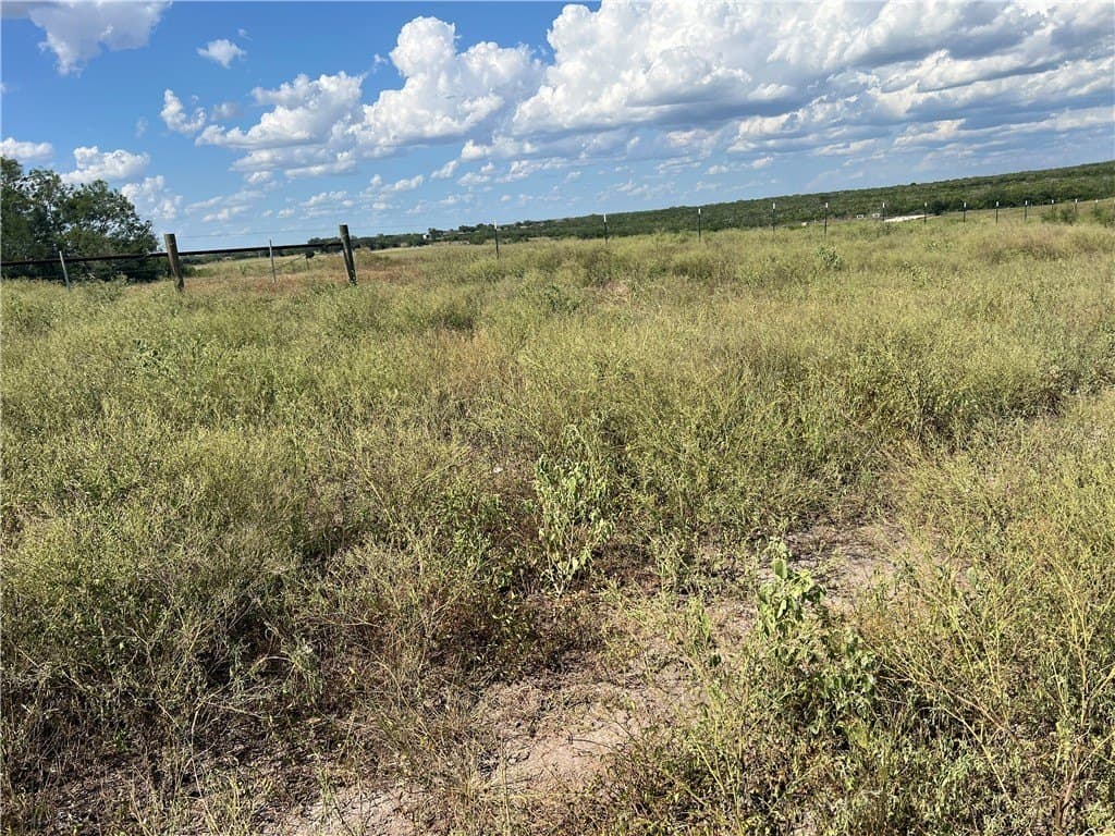 11.06 acres in Live Oak County gallery image 2