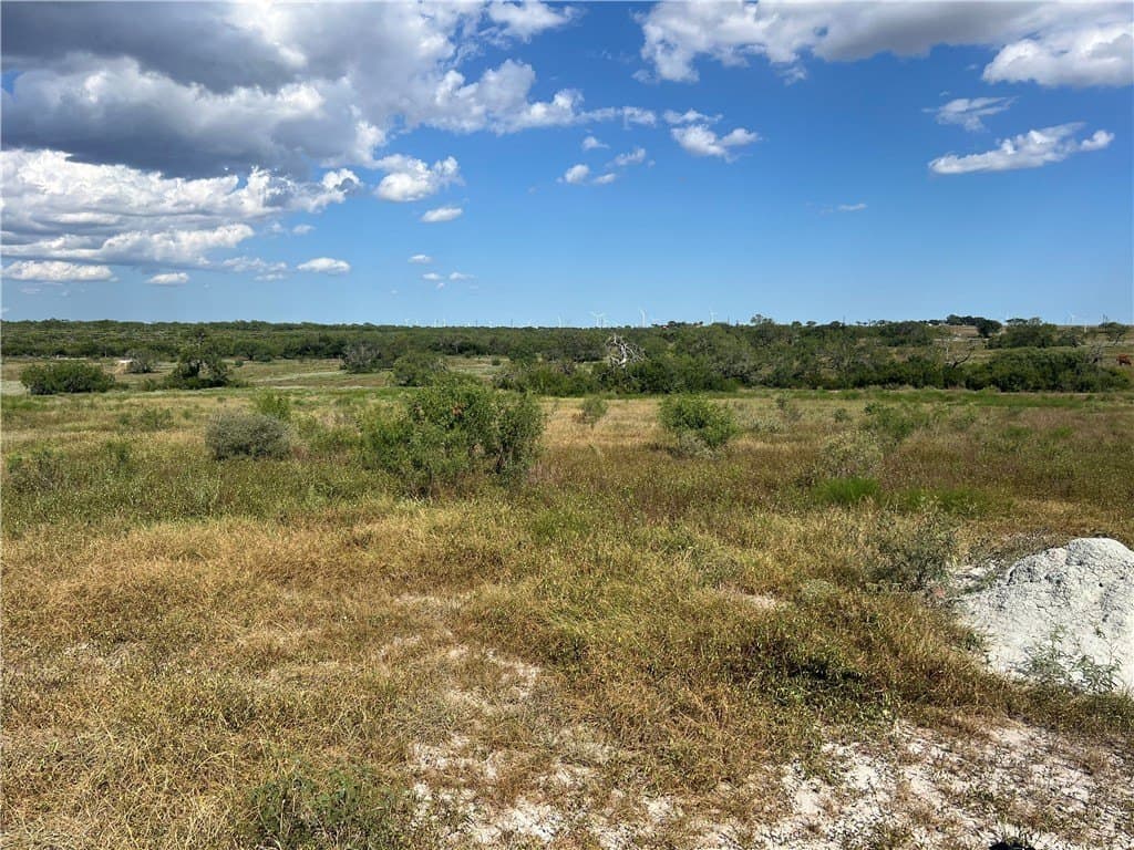 11.06 acres in Live Oak County featured view