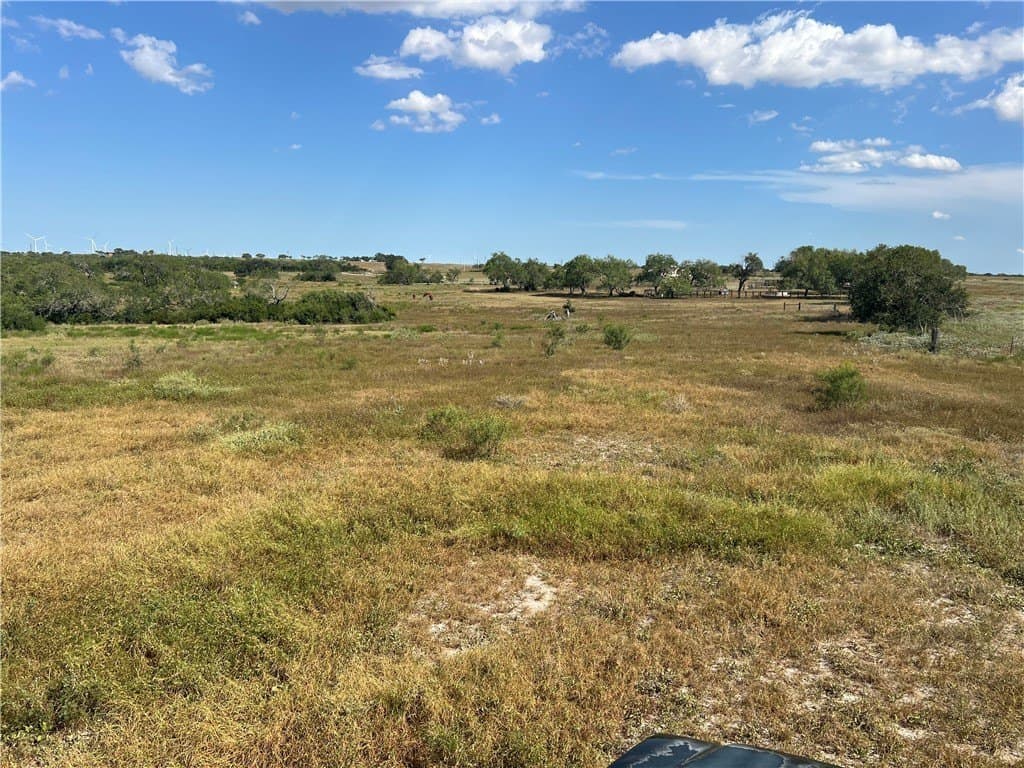 11.06 acres in Live Oak County - photo 8