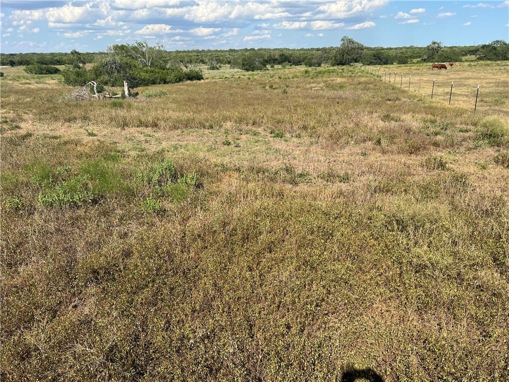 11.06 acres in Live Oak County - photo 11