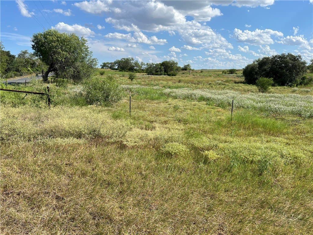 11.06 acres in Live Oak County - photo 17