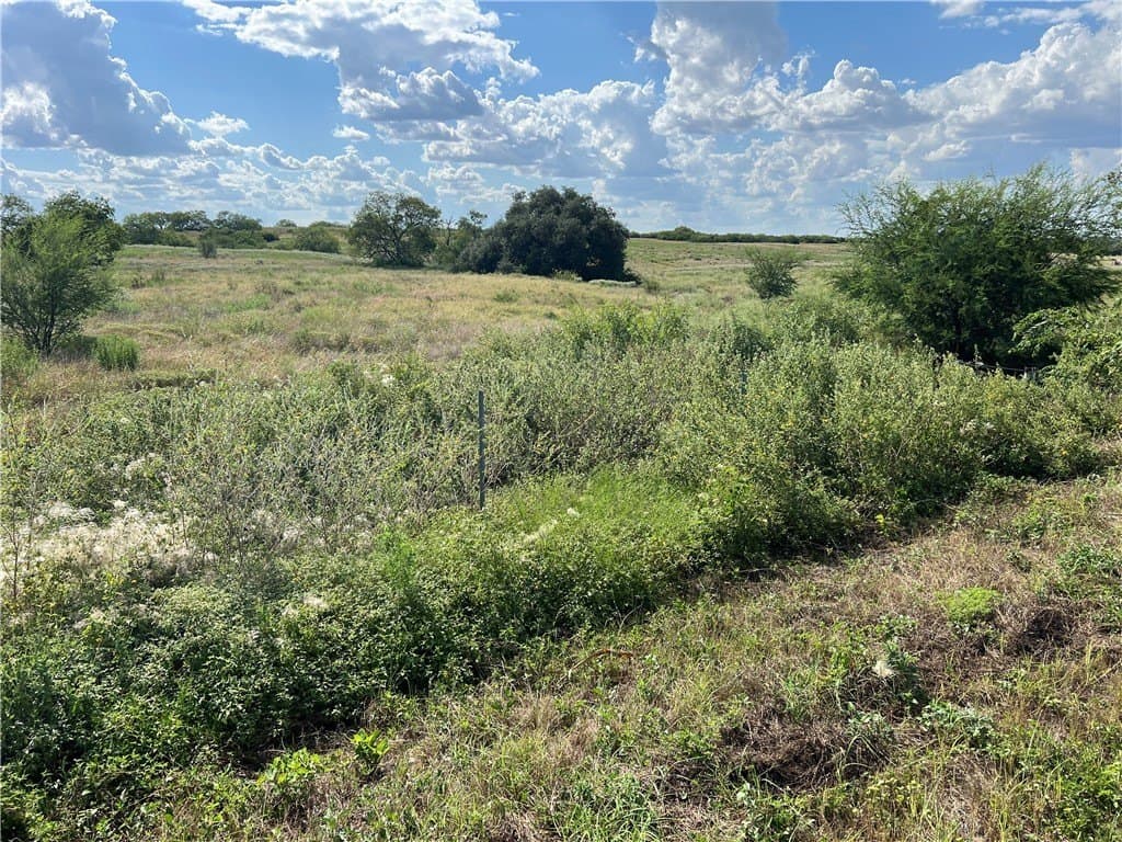 11.06 acres in Live Oak County - photo 20