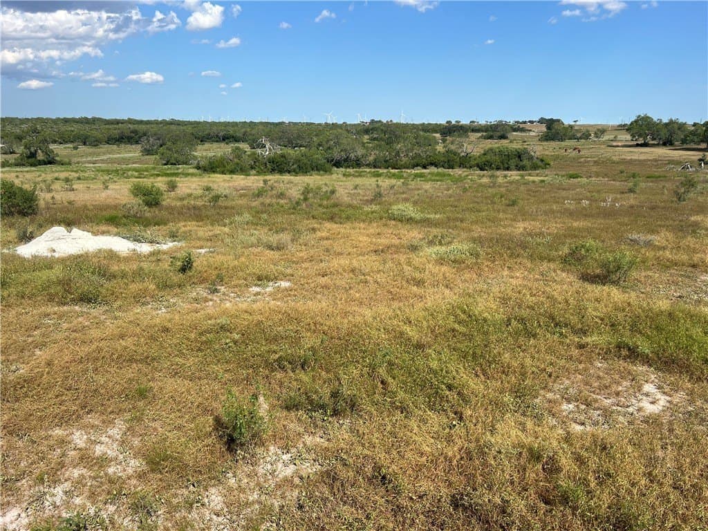 11.06 acres in Live Oak County - photo 10