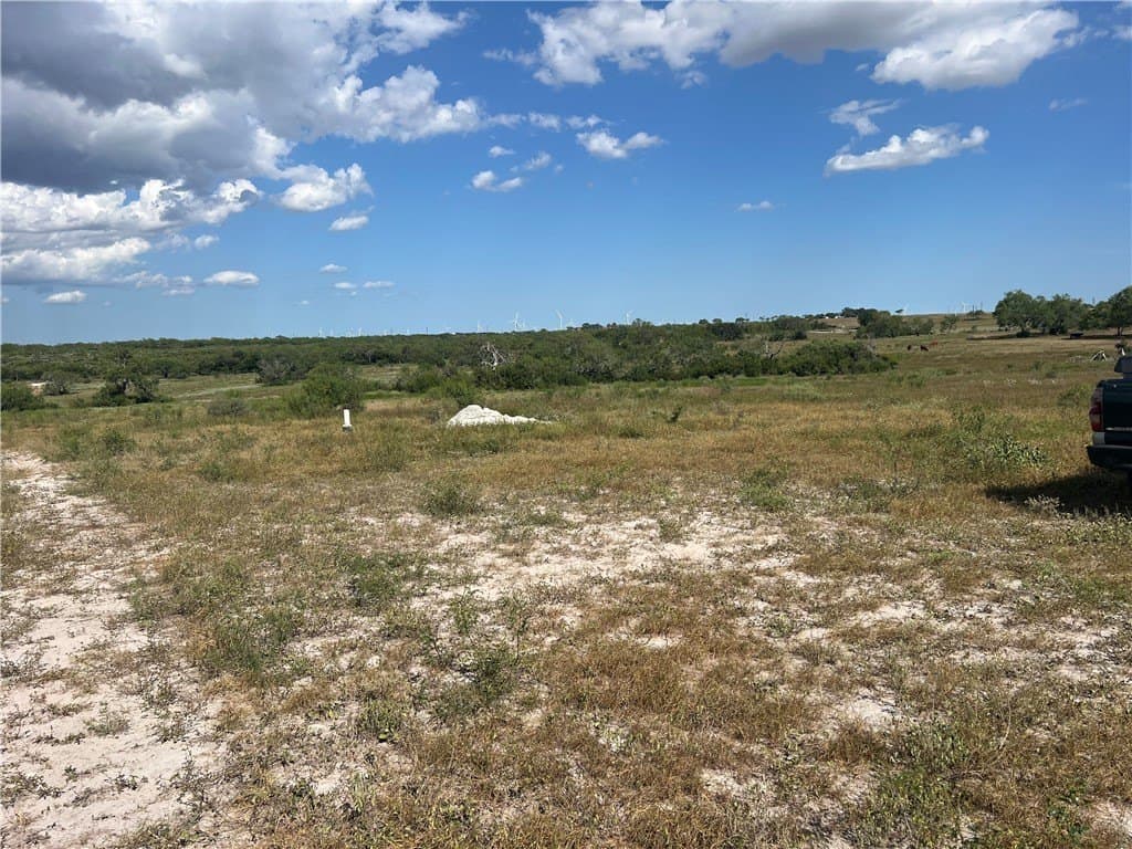 11.06 acres in Live Oak County gallery image 3