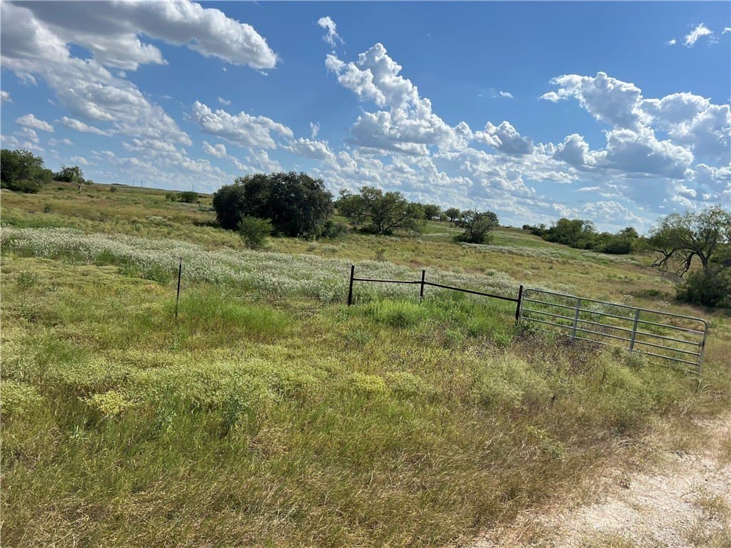 11.06 acres in Live Oak County - photo 18