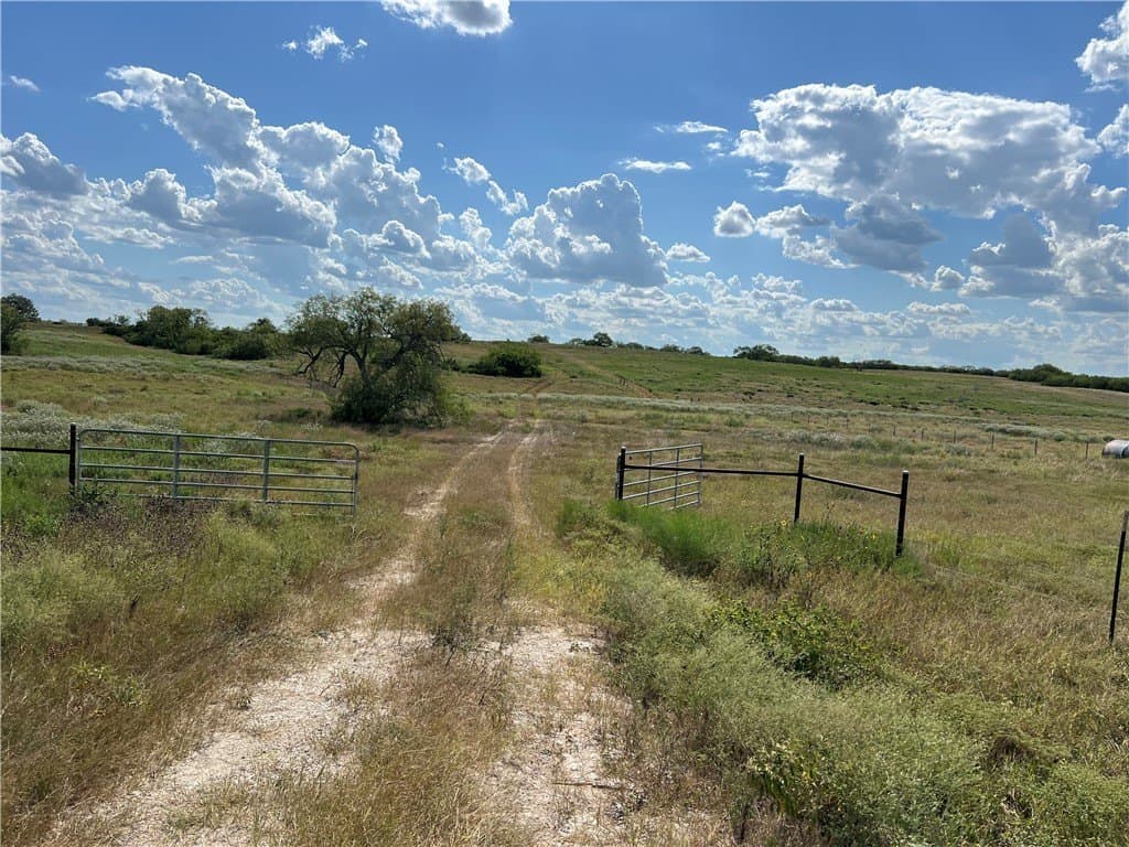 11.06 acres in Live Oak County - photo 15