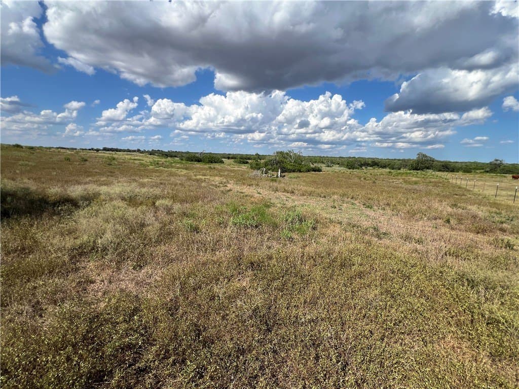 11.06 acres in Live Oak County - photo 12