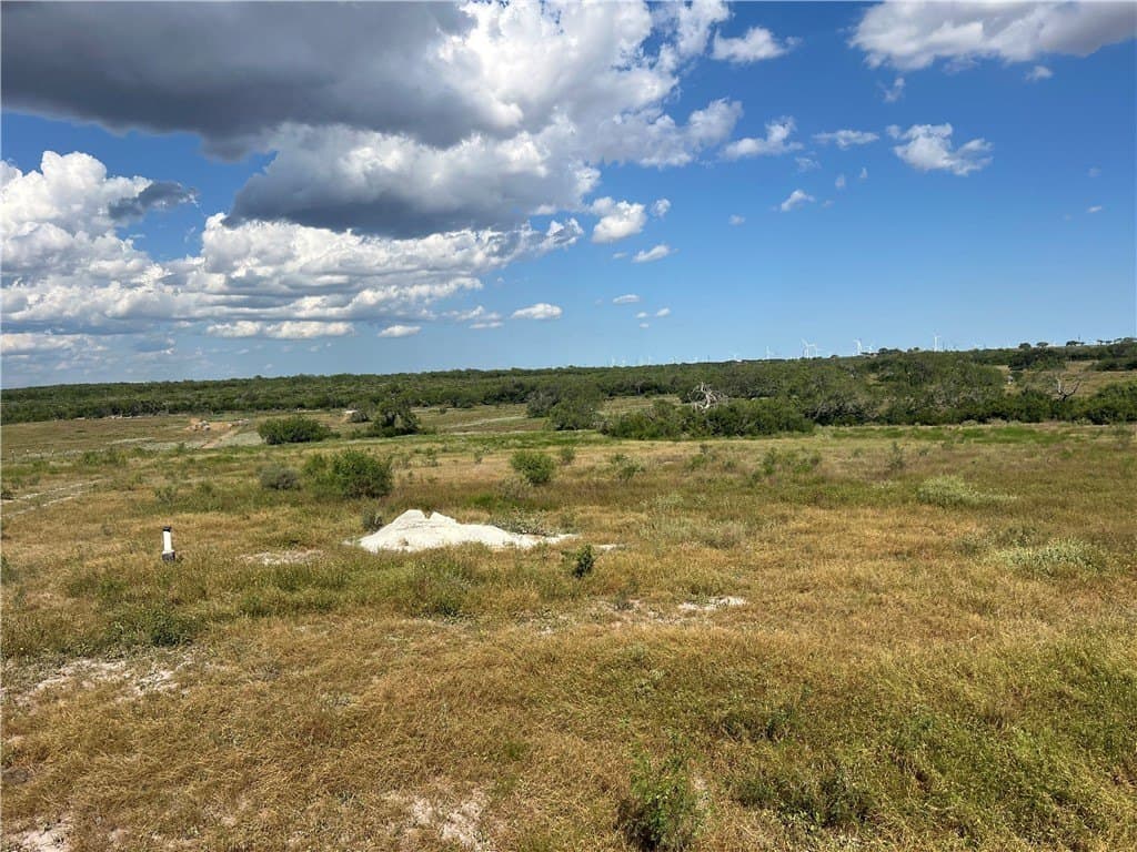 11.06 acres in Live Oak County - photo 6