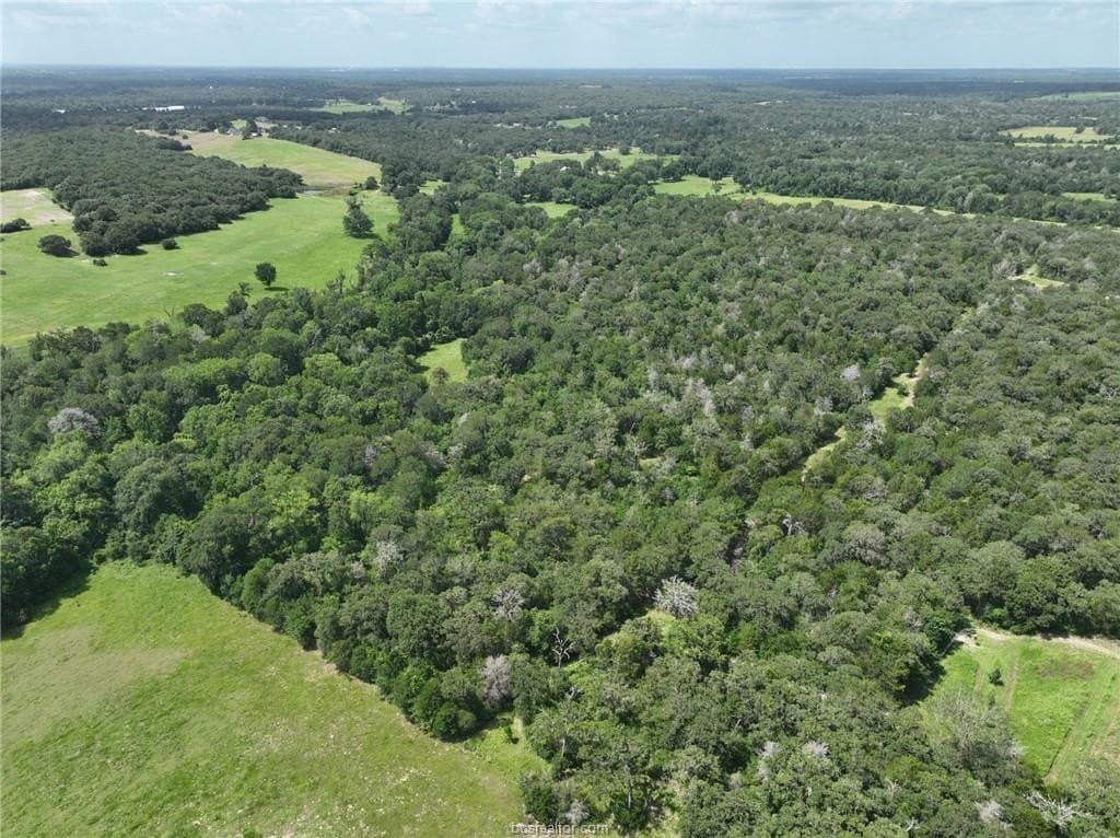 15 acres in Burleson County - photo 9