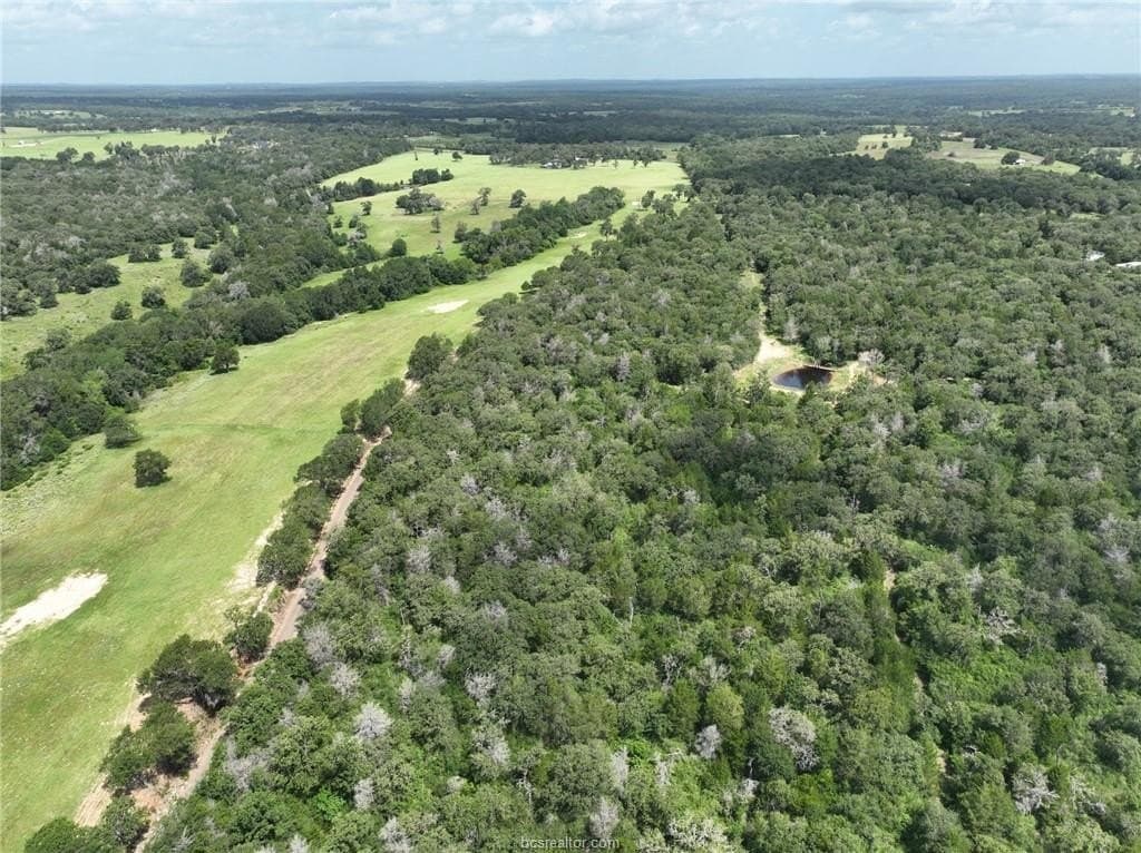 15 acres in Burleson County - photo 20