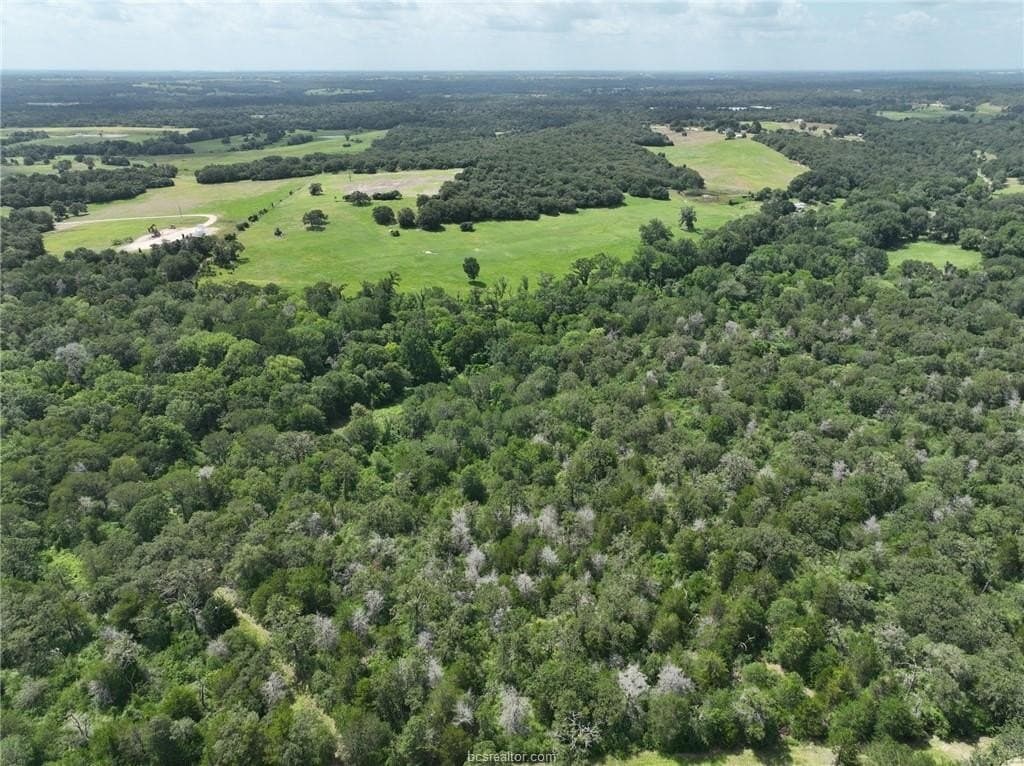 15 acres in Burleson County - photo 18