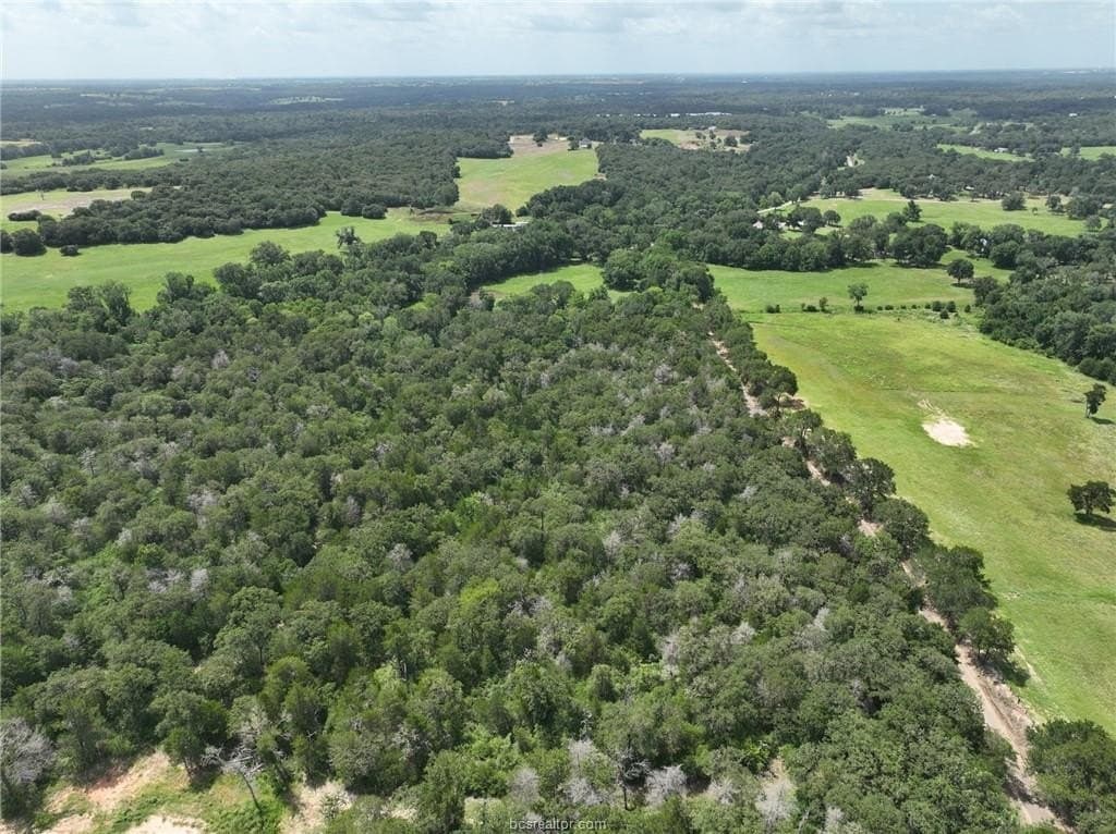15 acres in Burleson County - photo 14