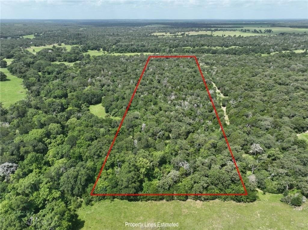 15 acres in Burleson County - photo 8
