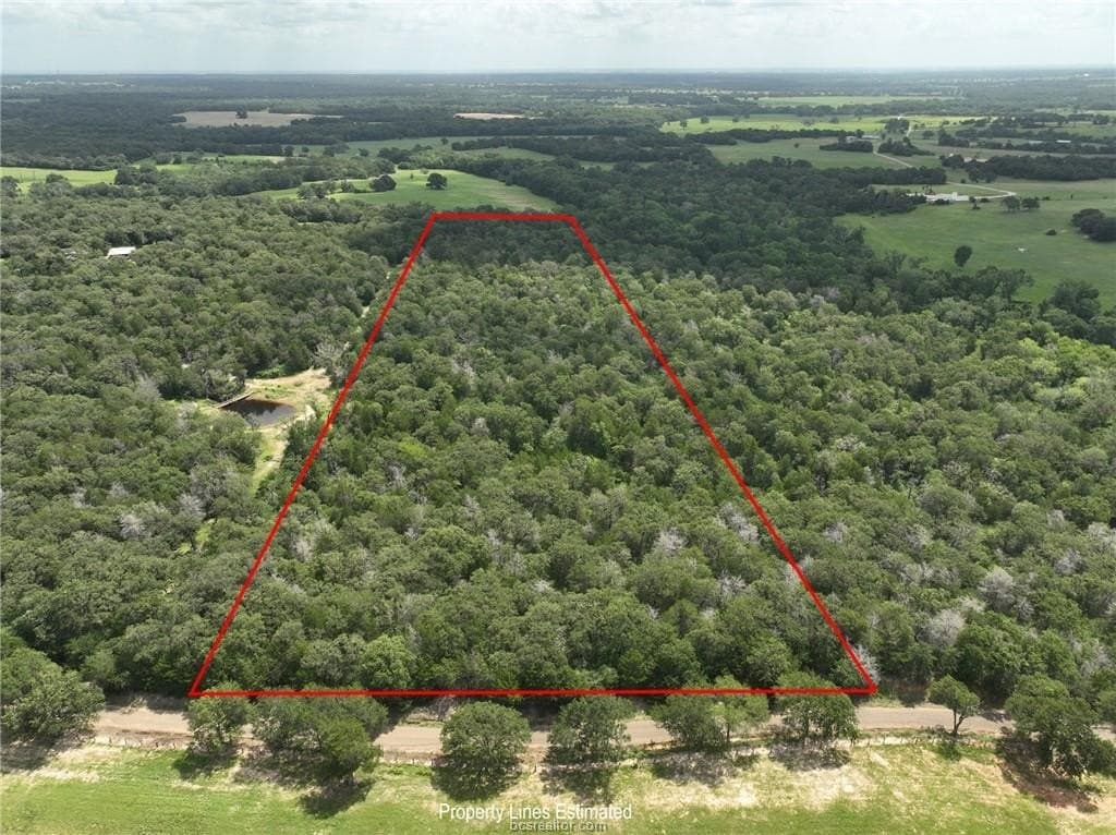 15 acres in Burleson County gallery image 3