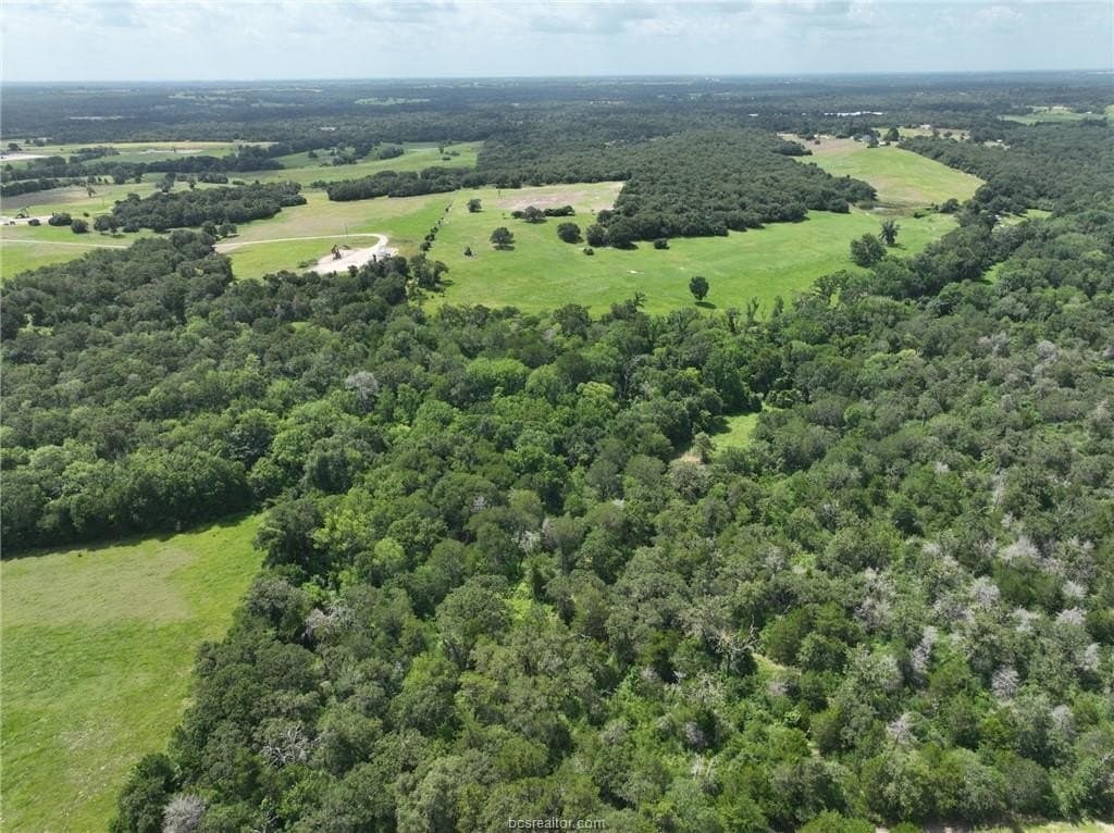 15 acres in Burleson County - photo 19