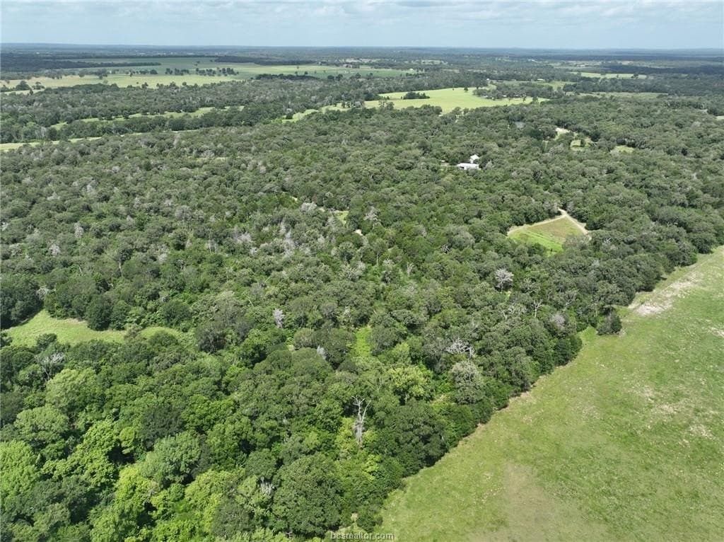 15 acres in Burleson County - photo 11