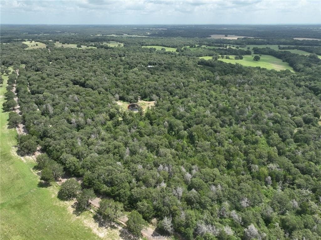 15 acres in Burleson County - photo 6
