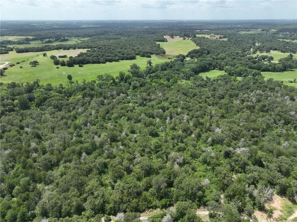 15 acres in Burleson County - photo 16