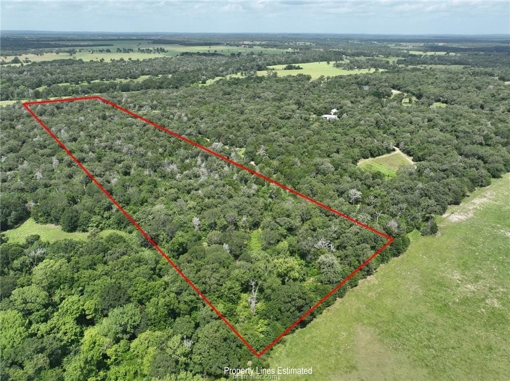 15 acres in Burleson County - photo 12