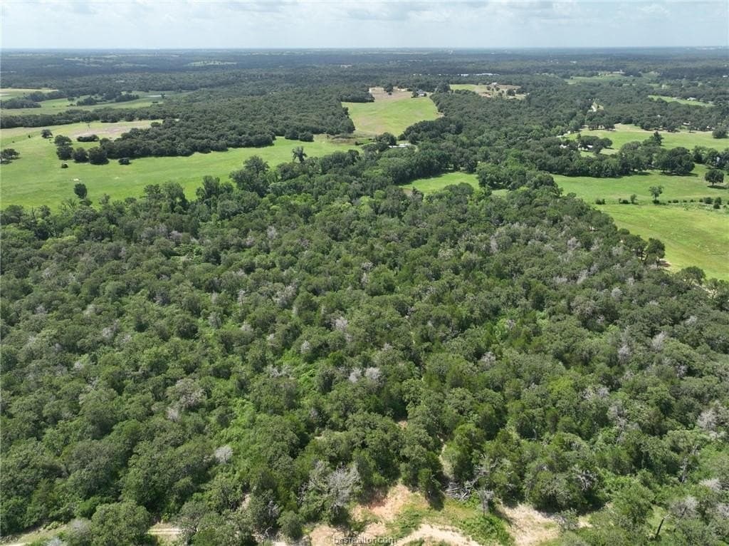 15 acres in Burleson County - photo 15