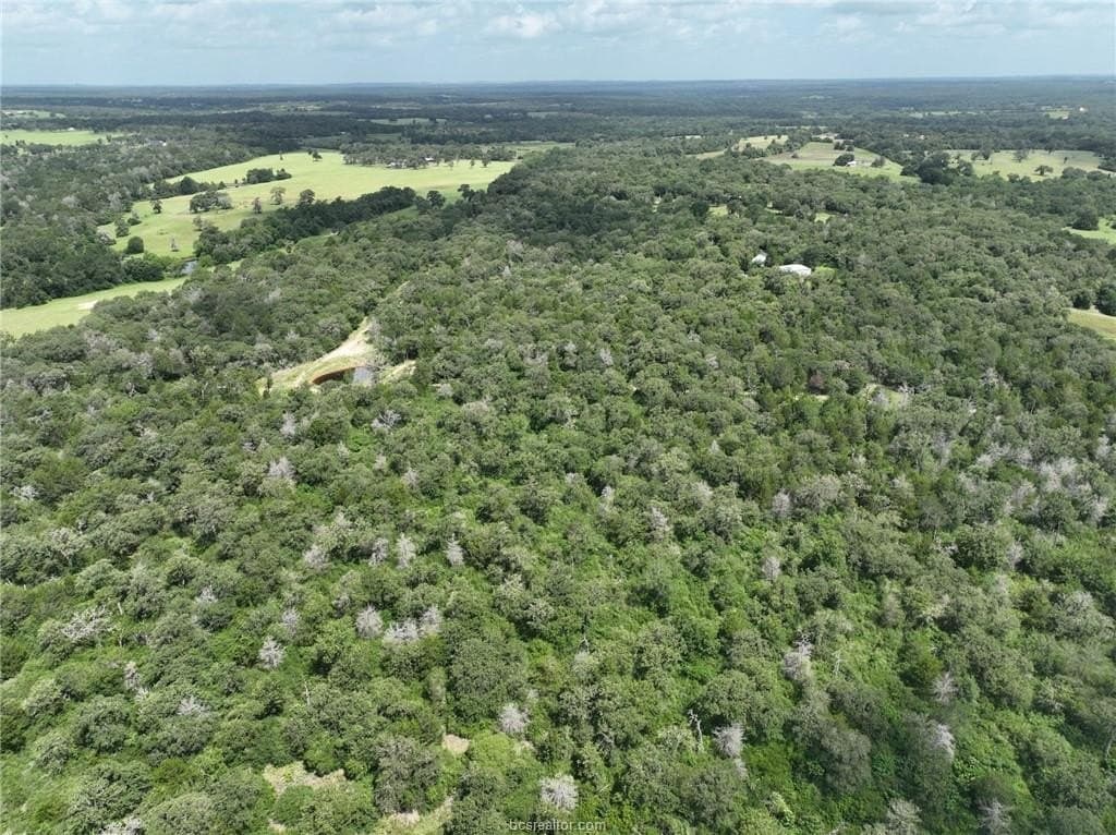 15 acres in Burleson County - photo 22