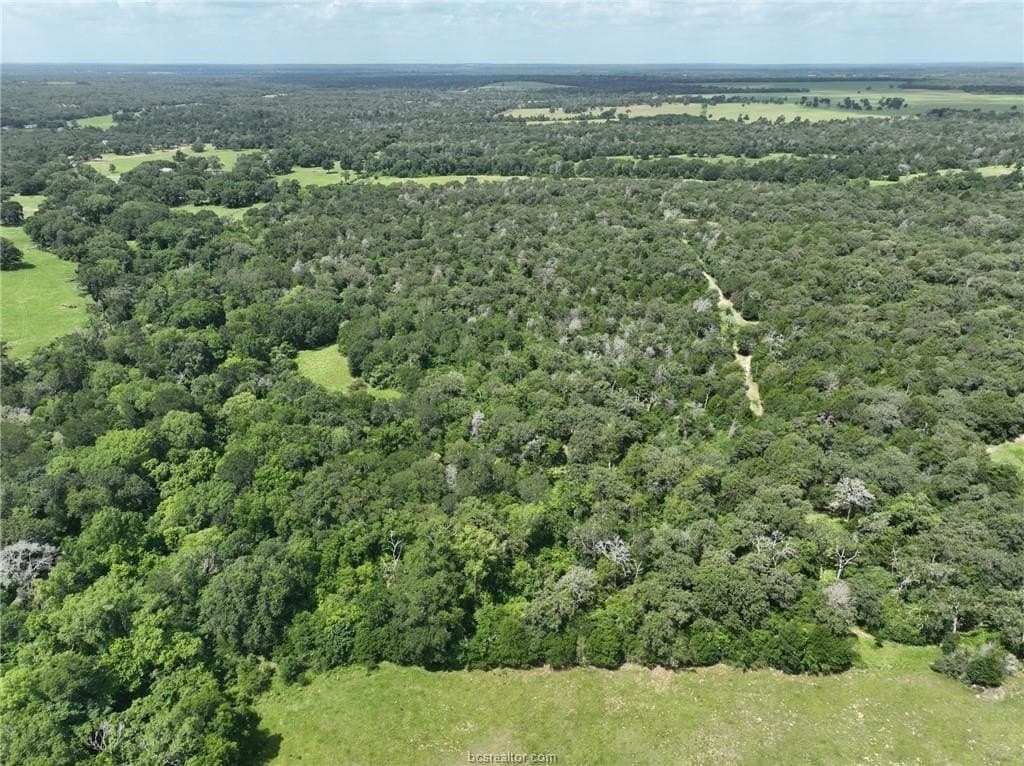 15 acres in Burleson County - photo 7