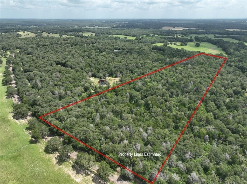 15 acres in Burleson County gallery image 2