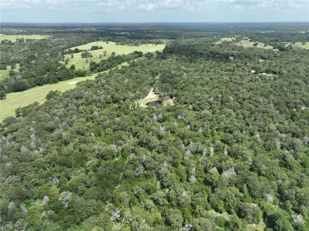 15 acres in Burleson County - photo 21