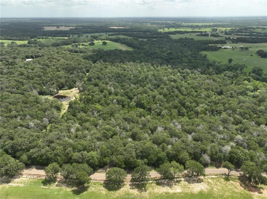 15 acres in Burleson County featured view