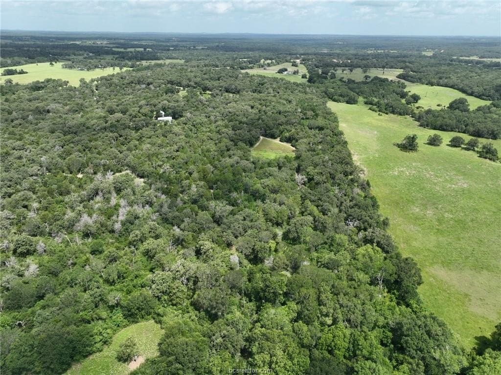 15 acres in Burleson County - photo 24